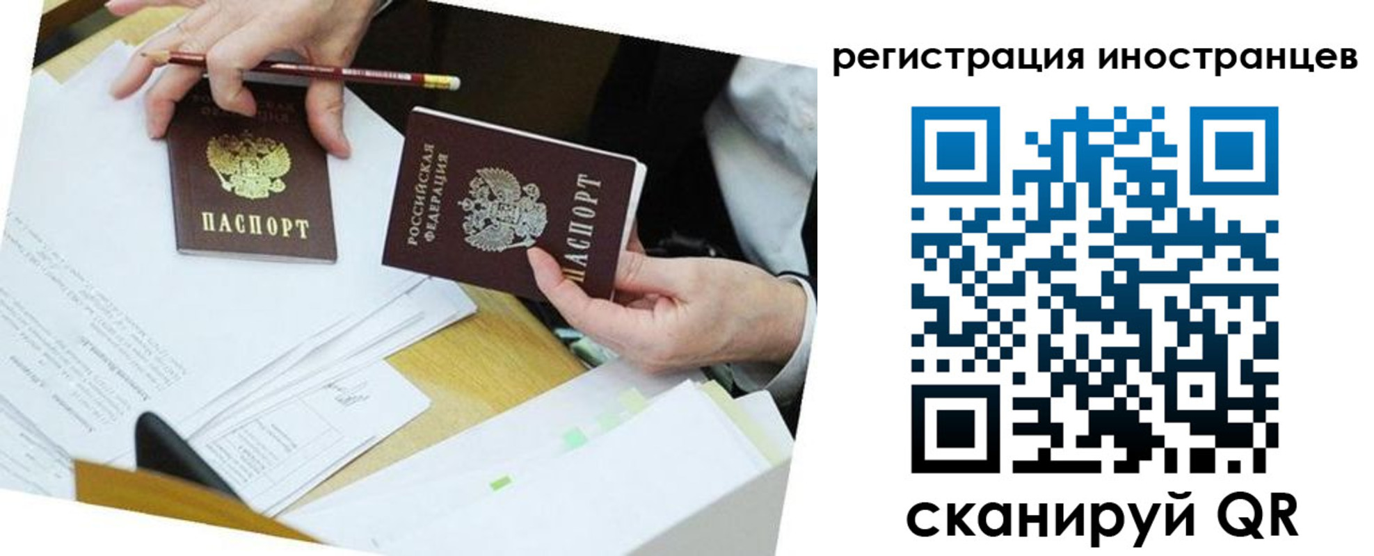 прописка ребенка в Александровске